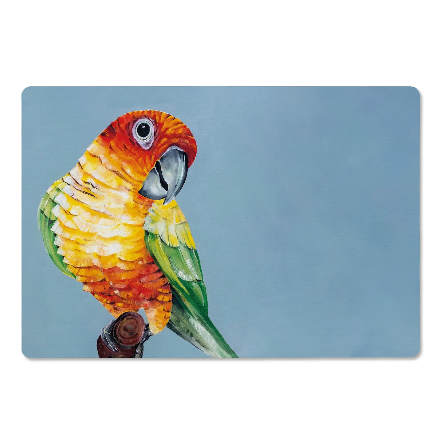 Schnabelbrettchen Sonnensittich