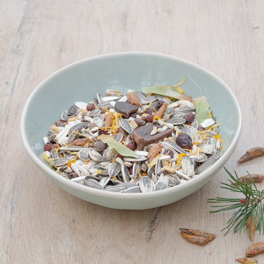 Früchte des Waldes - Körnerwerkstatt