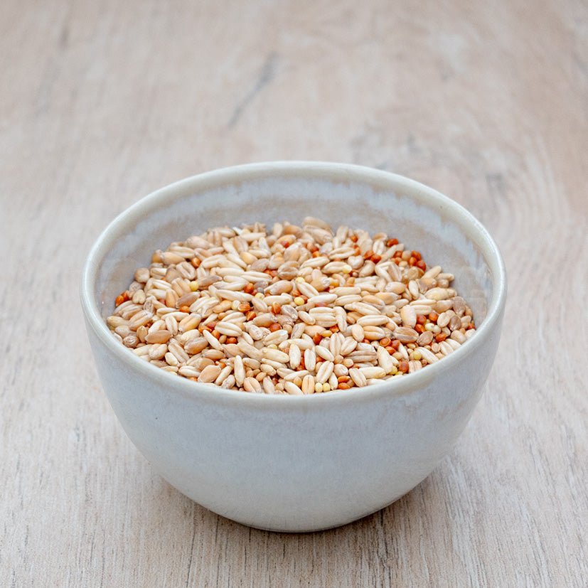 Keimfutter fein - Körnerwerkstatt