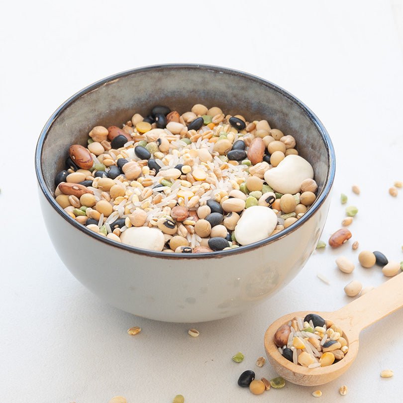 Papageien Eintopf - Körnerwerkstatt