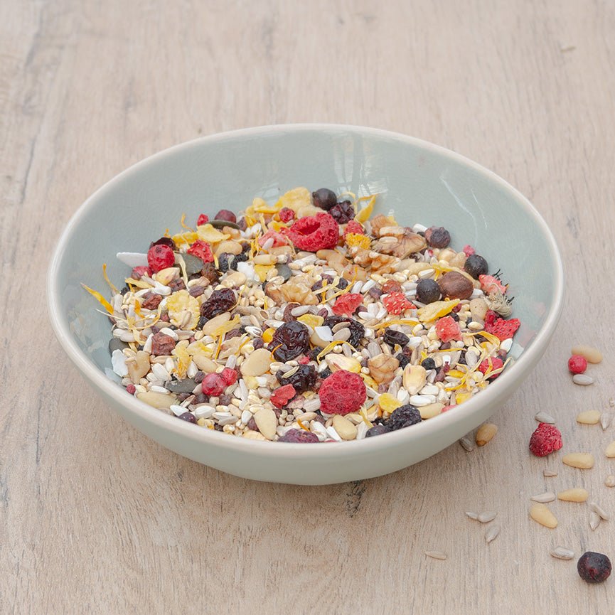 Sommer Vital - Körnerwerkstatt