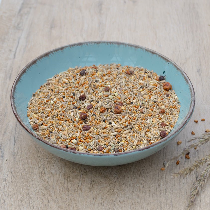 Sperlingspapageien Mix - Körnerwerkstatt