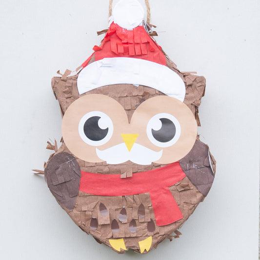 Hedwig macht die Flocke