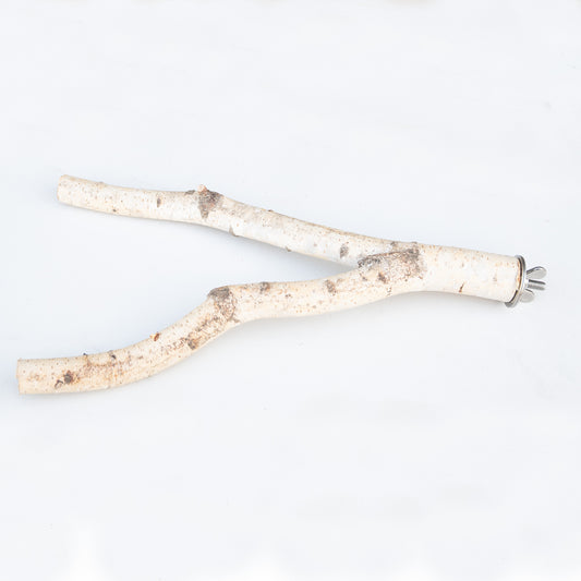 Sitzast Birke mit Gabel