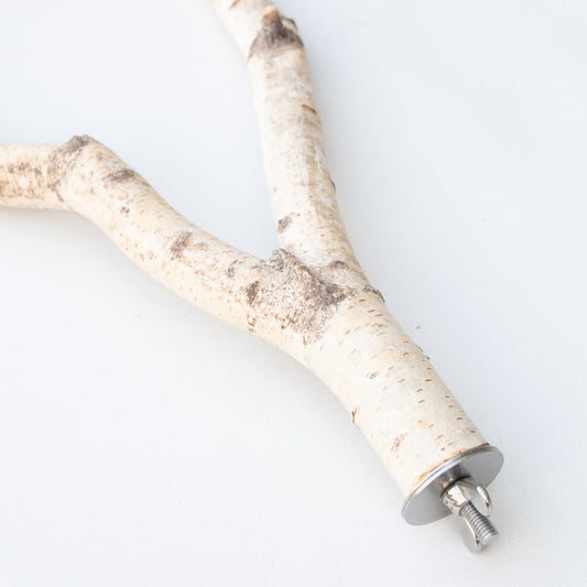 Sitzast Birke mit Gabel