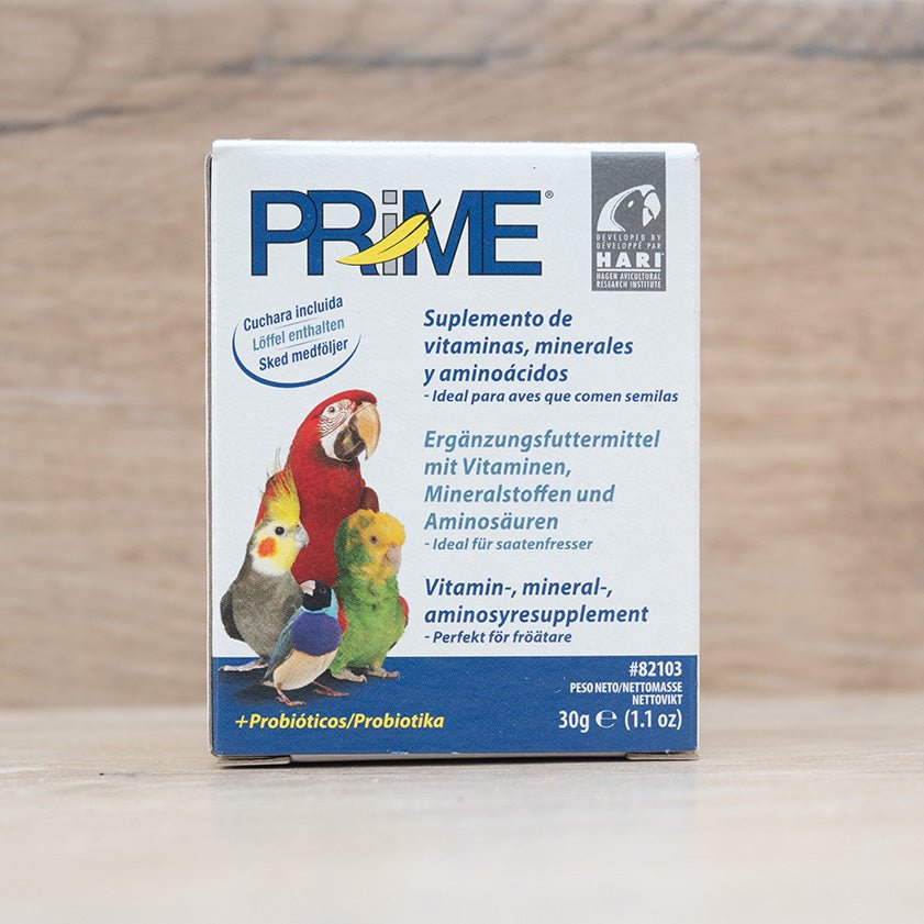 Prime - Körnerwerkstatt